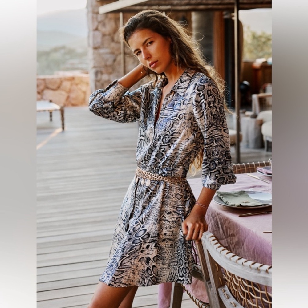 ZARA ANIMAL PRINT DRESS